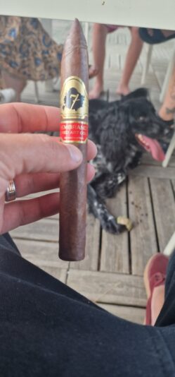 f565cca5-49fd-4250-8a7b-d710b3e50621