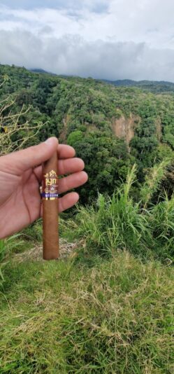 f13f5cb5-6f34-4418-94cf-0d40e440d437