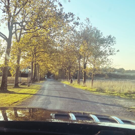 Processed with VSCO with n2 preset