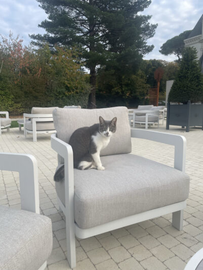 D881C62F-533D-46E7-ADE1-67FB80173B67