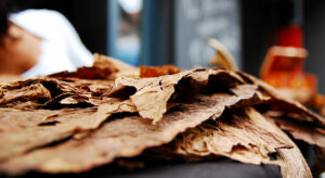 Feuilles de Tabac | Cigaroa Cigares