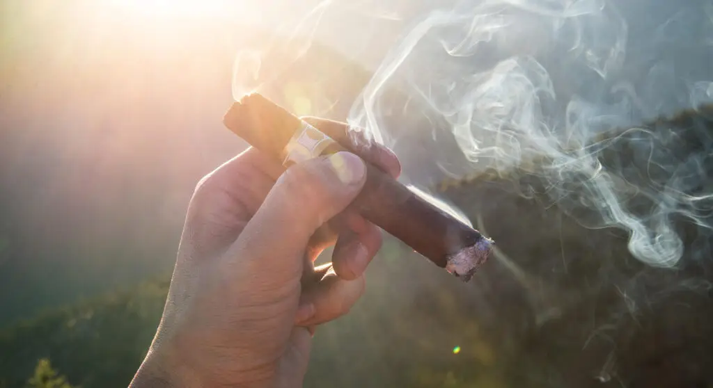 Cigare - Plaidoyer - Loi Tabac | Cigaroa - Cigares