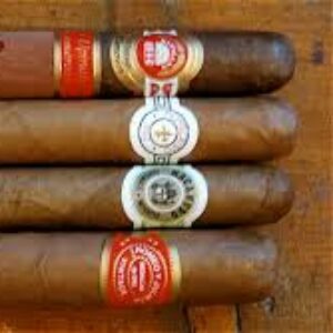 Photo de Profil de Yann