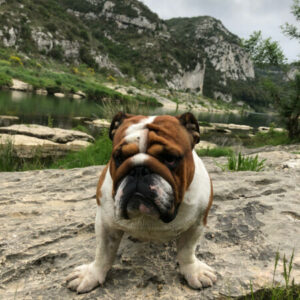 Photo de Profil de Alexandre