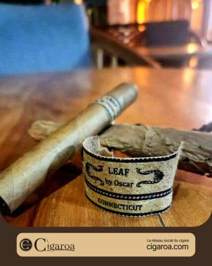 621801846_122160144020856155_9014641701111115099_n