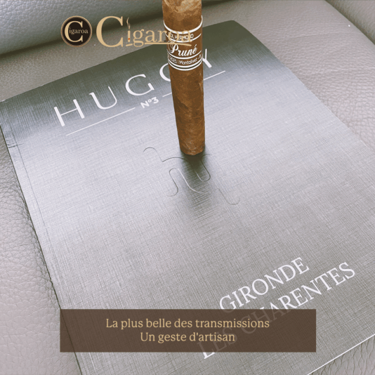 Post-Cigaroa-v4-Instagram-2