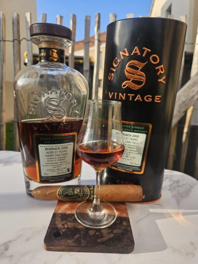 WhatsApp Image 2025-07-29 at 11.46.51