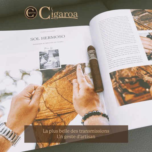 Post-Cigaroa-v4-Instagram-1