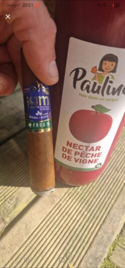 45602d74-83c8-4e12-a8c8-a437fc870f3e