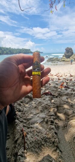 bfcd3e4e-e023-491d-85f6-431cd038eb51