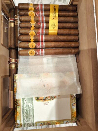 ae666ffa-413b-455c-932a-025073223ac5